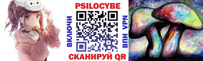 Псилоцибиновые грибы Psilocybine cubensis  Купить где  Чулым 